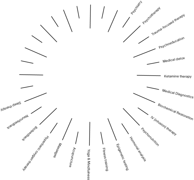 Схема холистического подхода к лечению Paracelsus Recovery